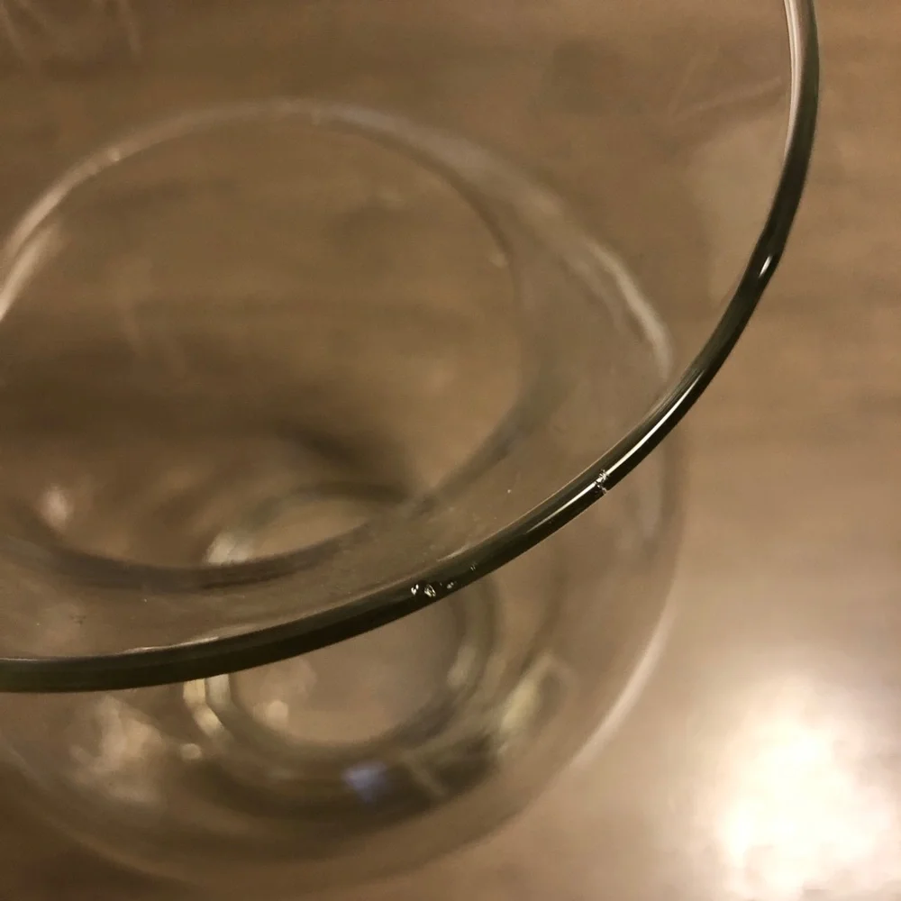 Elegant Clear Glass Flower Vase
